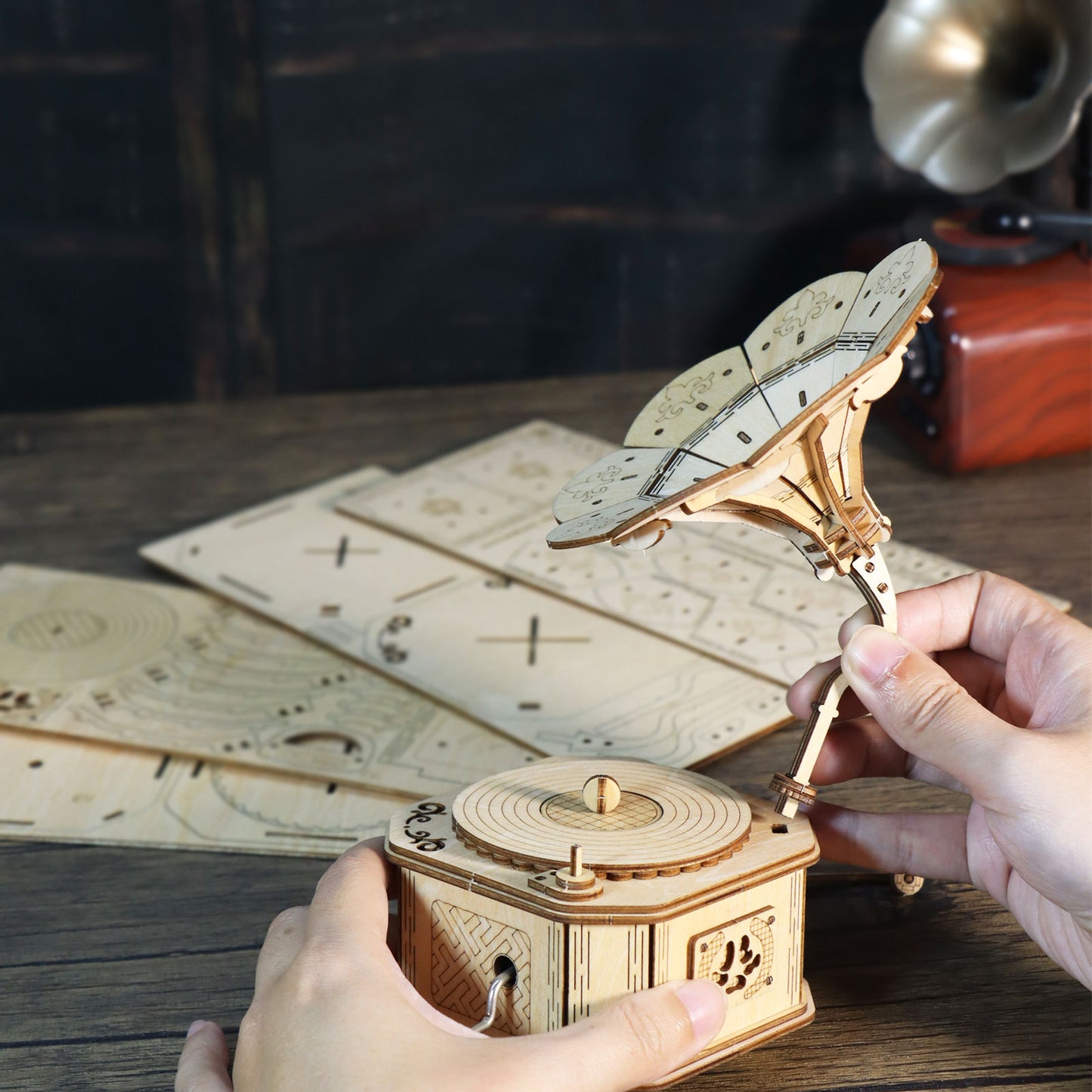 3d wooden puzzle phonograph music box You are my sunshine Handmade Assembly Model kit DIY Crafts Holidays birthdays Christmas gifts