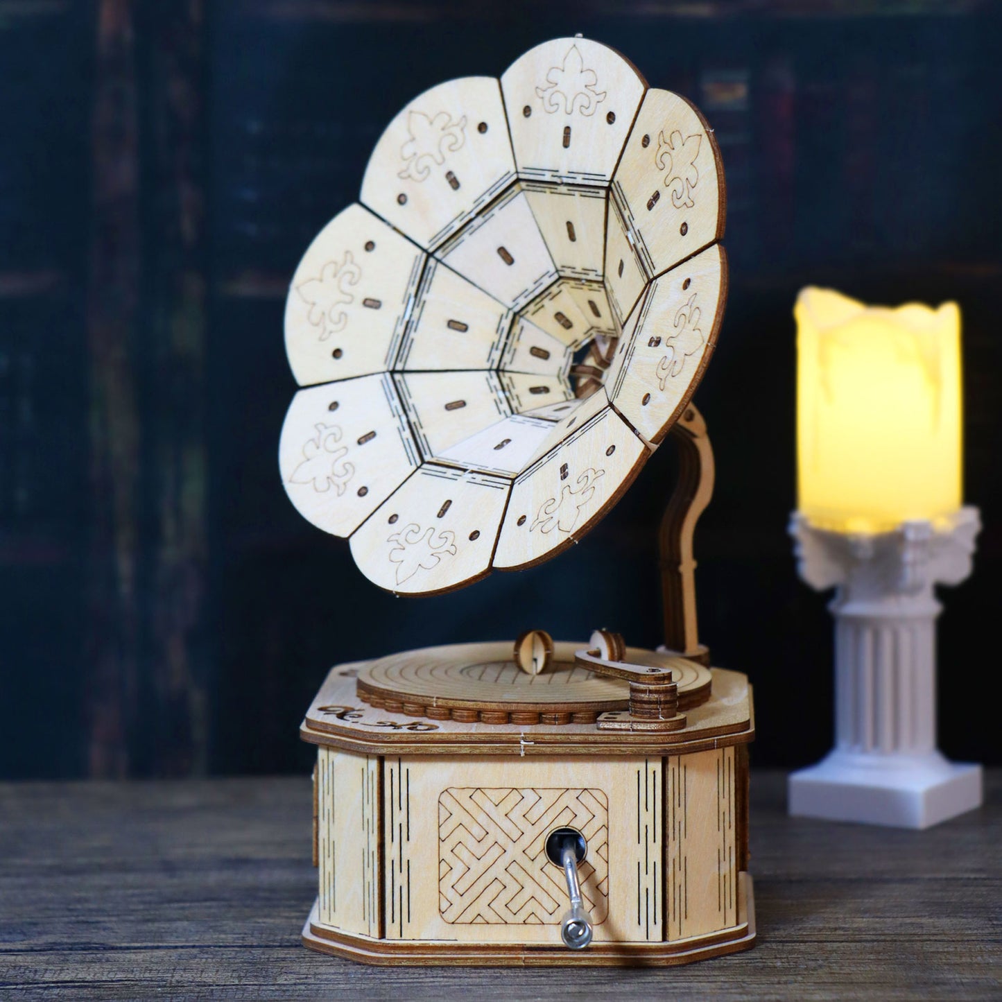 3d wooden puzzle phonograph music box You are my sunshine Handmade Assembly Model kit DIY Crafts Holidays birthdays Christmas gifts